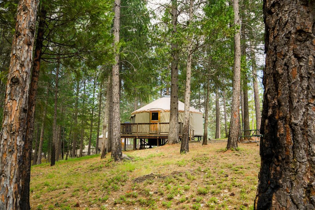 Yosemite Lakes Hillside Yurt 1 Harden Flat Exterior photo