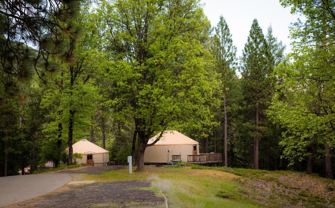 Yosemite Lakes Hillside Yurt 1 Harden Flat Exterior photo